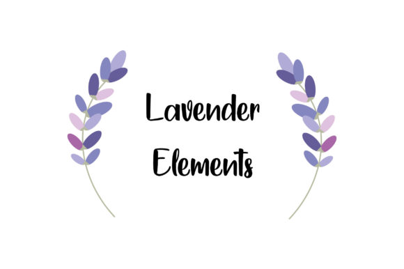 Download Lavender Illustrations - Illustration Collection