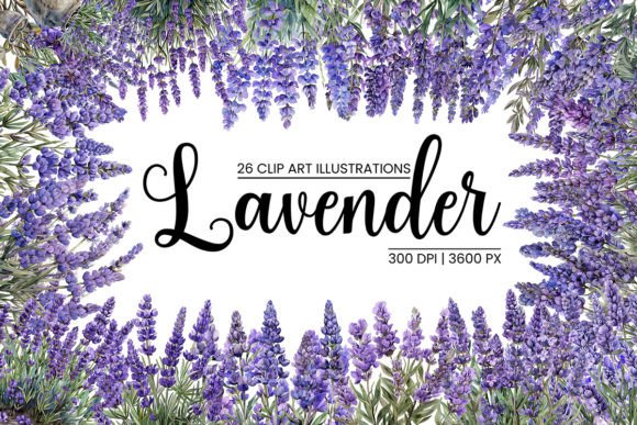 Download Watercolor Lavender Illustrations - Illustration Collection