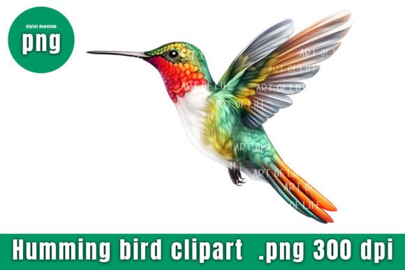 Download Illustrations Hummingbird - Illustration Collection
